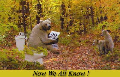funny pictures bears.jpg