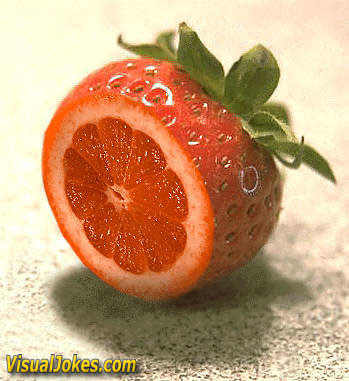 funny pictures sweetac.jpg
