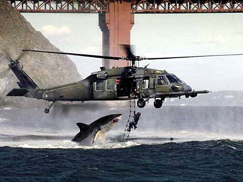 funny_pictures_badday.jpg