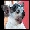 Show Dog Funny pictures