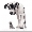 Show Dog Funny pictures