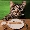 Show Cat Funny pictures