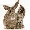 Show Animal Funny pictures