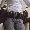 Show Myspace Funny pictures