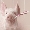 Show Animal Funny pictures