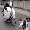 Show Car Funny pictures