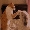 Show Dog Funny pictures
