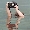 Show Extreme Funny pictures