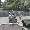 Show Car Funny pictures