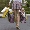 Show Blonde Funny pictures