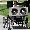 Show Car Funny pictures