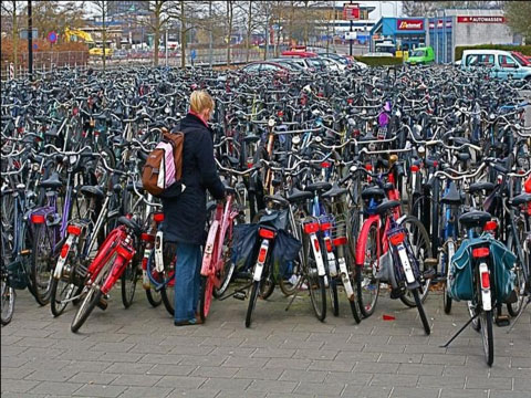 Clean Funny Pictures Good luck finding your bike!