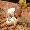 Show Clean Funny pictures