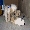 Show Animal Funny pictures