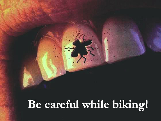 Clean Funny Pictures Be careful while biking!