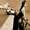 Show Extreme Funny pictures