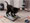 Show Cat Funny pictures