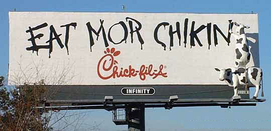 Animal Funny Pictures Eat mor chikin
