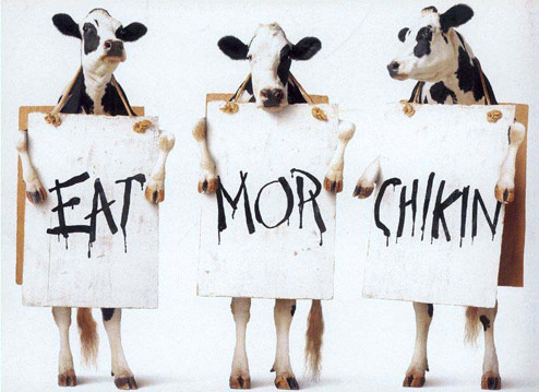 Animal Funny Pictures Eat mor chikin