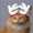 Show Cat Funny pictures