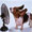 Show Dog Funny pictures