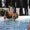 Show Blonde Funny pictures