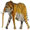 Show Animal Funny pictures