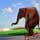 Show Animal Funny pictures