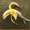 Show Animal Funny pictures