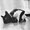 Show Animal Funny pictures