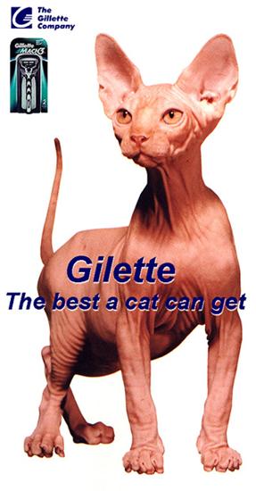 Cat Funny Pictures Gilette-the best a cat can get