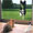 Show dog Funny pictures