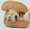 Show Dog Funny pictures