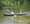 Show Myspace Funny pictures