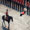 Show Man Funny pictures