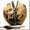 Show Clean Funny pictures