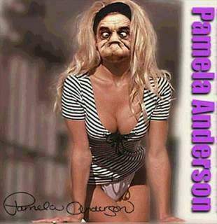 Clean Funny Pictures Pamela Anderson