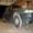 Show Cat Funny pictures