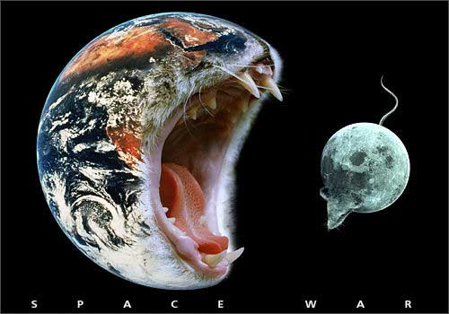 Animal Funny Pictures Space War