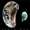 Show Animal Funny pictures