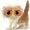 Show Cat Funny pictures