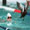 Show Animal Funny pictures