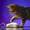 Show Cat Funny pictures