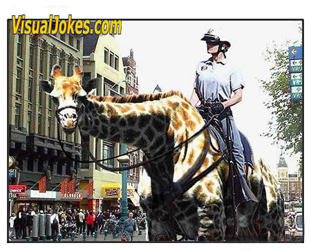 Animal Funny Pictures ZooCop